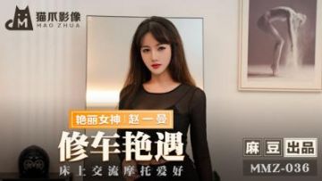 國產麻豆AV 貓爪影像 MMZ036 修車豔遇 趙一曼