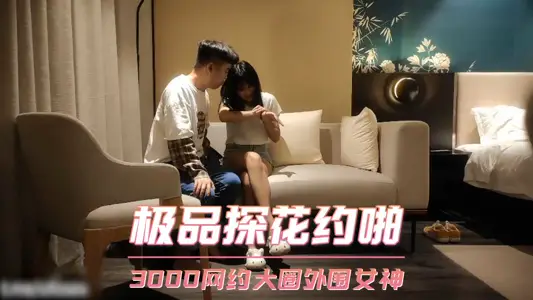 極品探花約啪 3000網約大圈外圍女神