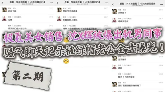 極氪美女銷售 沈X輝被爆出軌男同事，騷氣聊天記錄被綠帽老公全盤曝光！