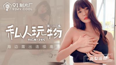 【91製片廠】91CM245 私人玩物 第二集高梨遙香.