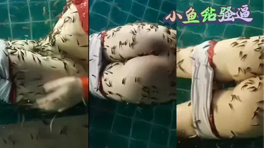 小魚鑽騷逼