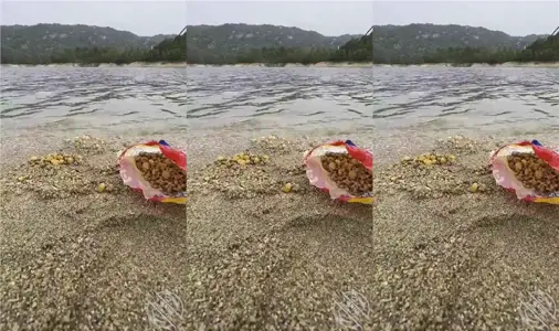 和姐姐户外钓鱼水库边激情开操，狗喝水式舔逼狂喷不止