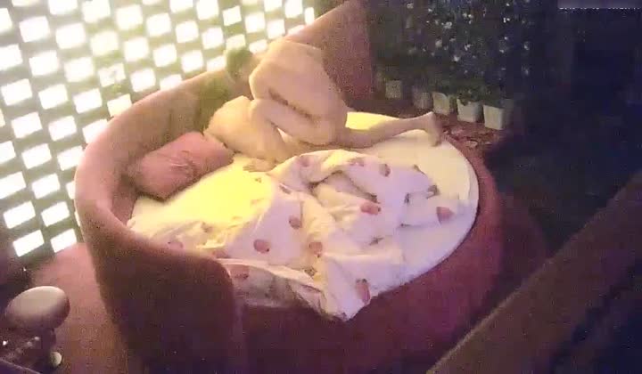 性感气质大美女和网友酒店偷情,男的貌似偷吃药了连操...