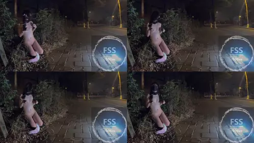 推特网红 FSS 冯珊珊 户外露出福利 20.母犬被路人捡走