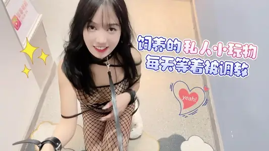 饲养的私人小玩物每天等着被调教