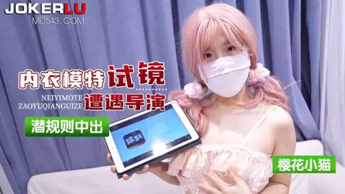 猛料原创・内衣模特试镜遭遇导演潜规则-樱花小猫