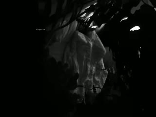 【酒店摄像头 甄选】绝版绿植房 教练约操瑜伽学员美女偷情啪啪 年纪小身体柔软适合高难度动作