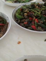 绿帽男在线招聘单男，贤惠小少妇打扫卫生做饭塞跳蛋，干净粉嫩鲍鱼还只被老公干过，风骚异常，良家也疯狂4小时记录